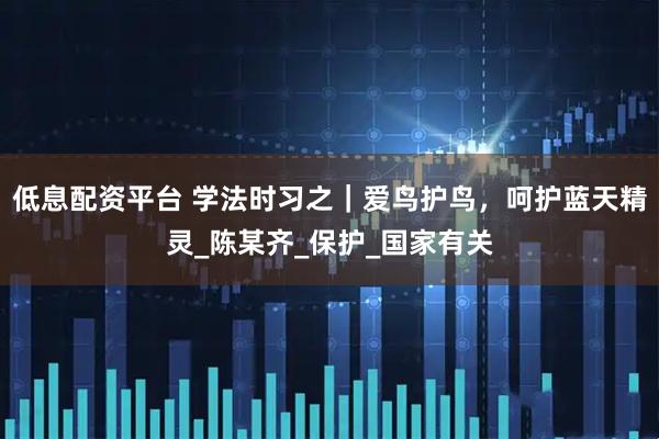 低息配资平台 学法时习之｜爱鸟护鸟，呵护蓝天精灵_陈某齐_保护_国家有关